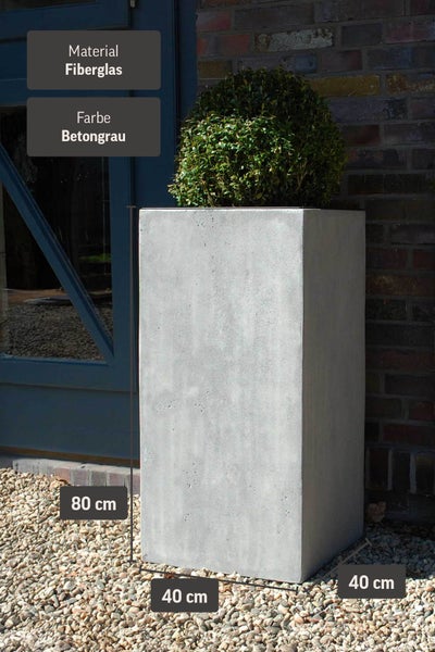 Hoher, rechteckiger Pflanzkübel aus Fiberglas in Betonoptik, Maße 80 mal 40 mal 40 Zentimeter, bepflanzt mit einem Buchsbaum.