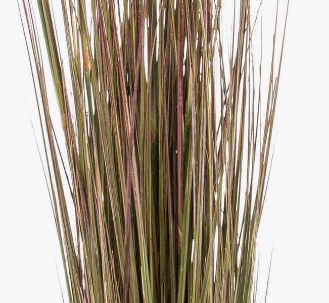 Kunstgras Federgras WELLORI mit Rispen, grün, 120cm - Deko Gras