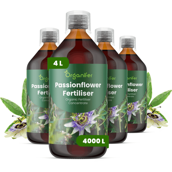 Vier Flaschen Organifer Passionsblumen-Dünger, organisches Düngerkonzentrat, 4 Liter insgesamt, ausreichend für 4000 Liter.