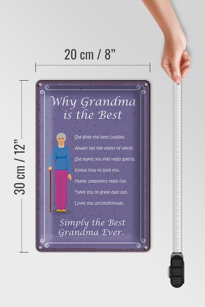 Blechschild Spruch 20x30cm why Grandma is the best Oma