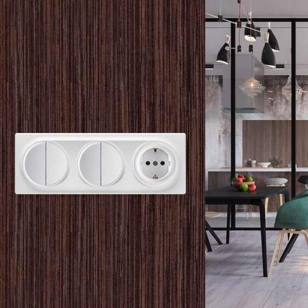 Dreifach-Kombination aus zwei Lichtschaltern und einer Steckdose auf einer Holzoberfläche in einem modern eingerichteten Esszimmer