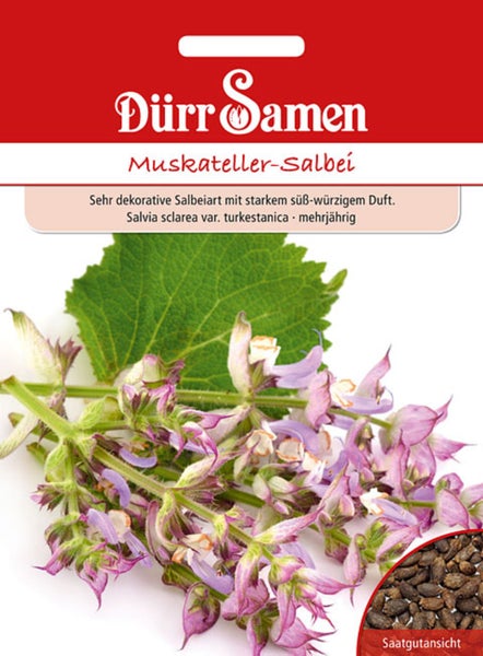 Dürr Samen Logo. Saatgutpackung Muskateller-Salbei mit Abbildung der Pflanze und Nahaufnahme der Samen.