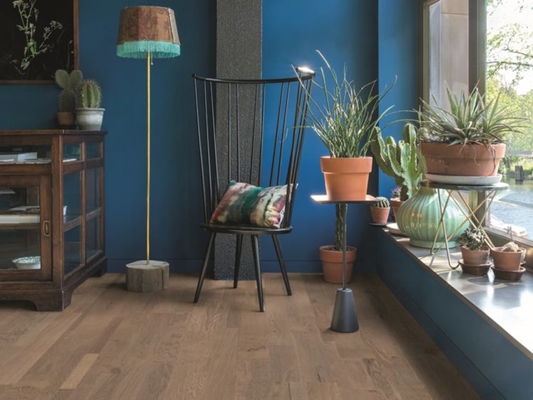 Parkettboden Eiche in einem Wohnzimmer mit blauen Wänden, einem schwarzen Designerstuhl und zahlreichen Zimmerpflanzen auf einer Fensterbank.