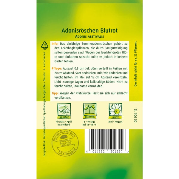Adonisröschen Blutrot Samen von Quedlinburger SAATGUT