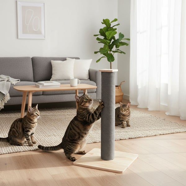 Katzenkratzbaum mit Sisalstamm auf Holzplatte in einem modern eingerichteten Wohnzimmer mit Katzen.