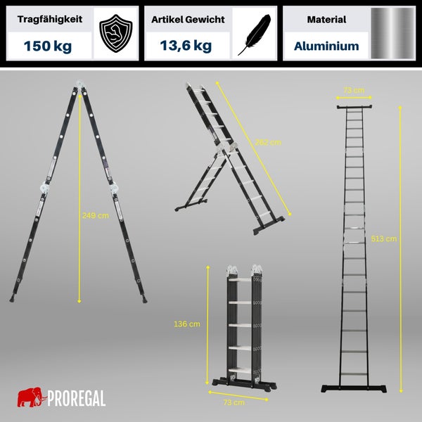 Mehrzweckleiter aus Aluminium von Proregal mit 150 Kilogramm Tragfähigkeit, 13,6 Kilogramm Gewicht und verschiedenen Aufbauvarianten.