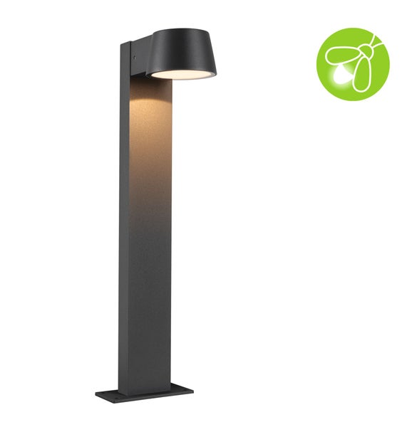 LED Pollerleuchte Capea insektenfreundlich IP44 500mm 2200K 6W 450lm 230V 98° Anthrazit Aluminium