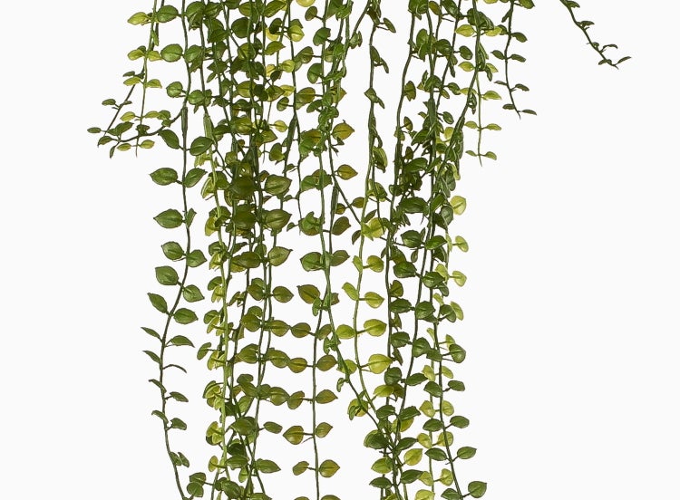 Künstliche Hängepflanze mit grünen Ranken und vielen kleinen runden Blättern.