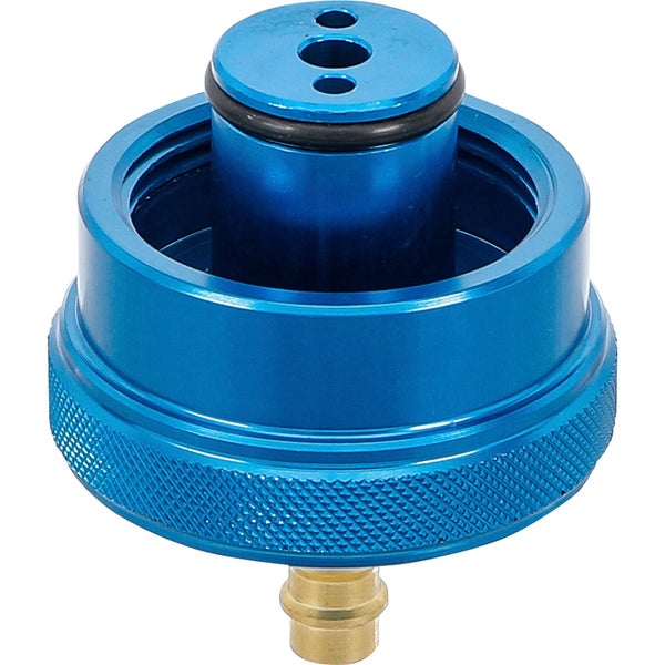 Gruppe roter Spornblumen im Garten