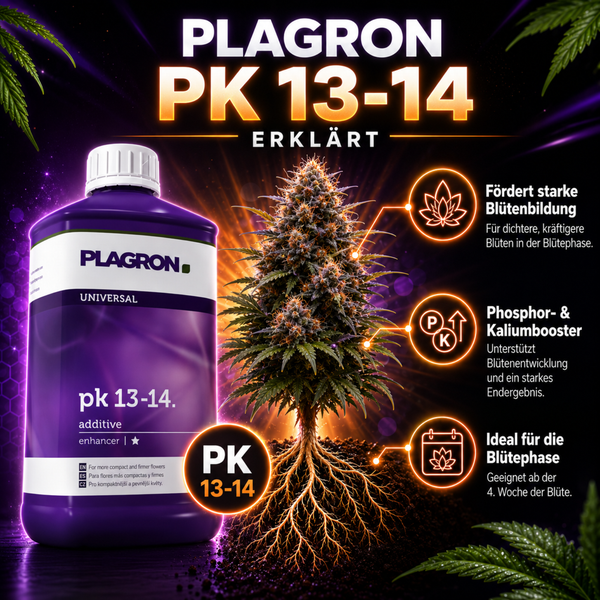 Plagron PK 13-14 Pflanzendünger zur Förderung der Blütenbildung in der Blütephase als Phosphor- und Kaliumbooster für kompakte Blüten.
