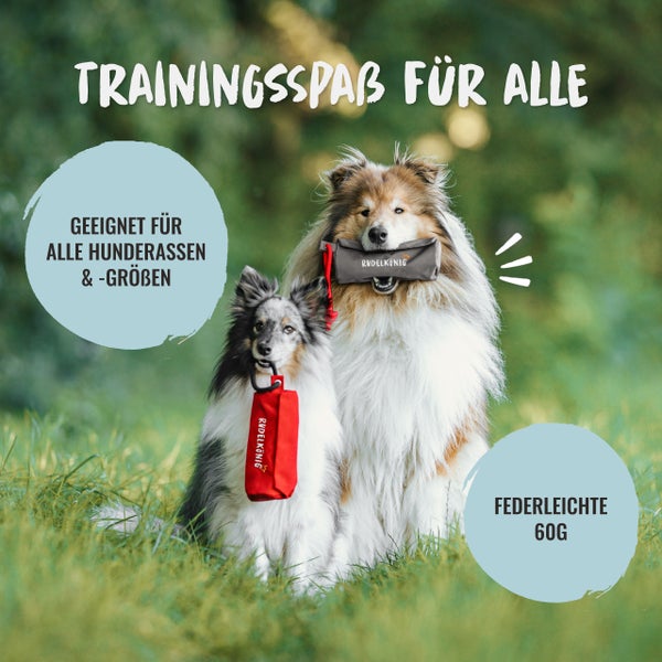 Zwei Hunde mit Hundespielzeug der Marke Rudelkönig im Gras.