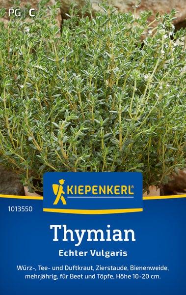 Echter Thymian Thymus vulgaris von Kiepenkerl als Würz- und Teekraut für Beet und Topf geeignet, mehrjährige Staude mit 10 bis 20 Zentimeter Höhe.