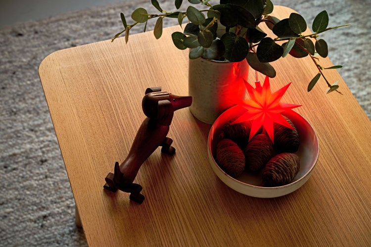 Sterntaler Dekostern | Weihnachtsstern Kunststoff | 9-Zacker Stern | mit Timer | 11,5cm | Innen | LED | Batterie