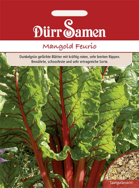 Rückseite der Samentüte Rote Rübe Rote Kugel 2 von Carl Pabst mit Informationen zu Aussaat, Kultur, Standort, Ernte und Carl Pabst Logo.