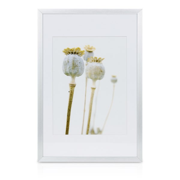 Gerahmtes Bild mit Mohnblumenmotiv