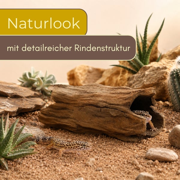 Helle Wüstenszene im Terrarium mit hohlem Baumstamm, Geckos, Sand und Sukkulenten. Der Baumstamm hat eine detailreiche Rindenstruktur.