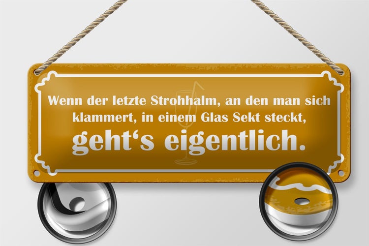 Blechschild Spruch 27x10cm Strohhalm in einem Glas Sekt Dekoration