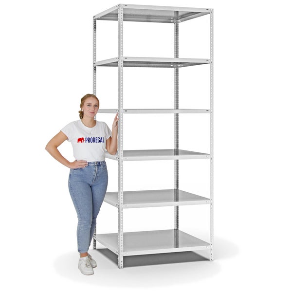 PROREGAL Fachbodenregal Schraubsystem Light-Duty Grundregal HxBxT 250 x 100 x 80 cm 6 Ebenen Fachlast 125 kg Beidseitig Nutzbar Lichtgrau