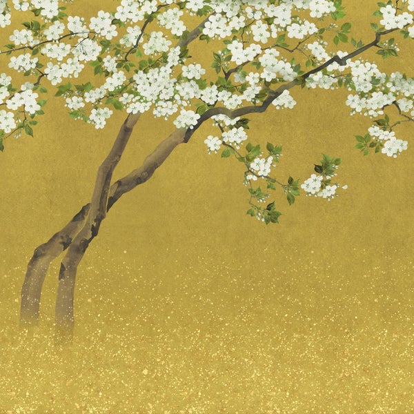 Illustration eines blühenden Baums vor einem einfarbigen Hintergrund