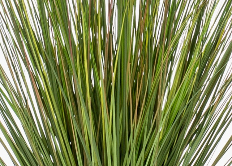 Künstliche Ranunkel in Lachs mit grünem Stiel und Blättern.