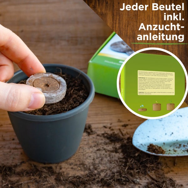 Quelltabletten 120 Stück Samen von Deine Gartenwelt