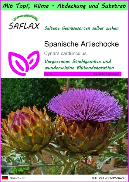 SAFLAX Garden to go - Spanische Artischocke - Cynara cardunculus - 50 Samen - Mit Topf, Klima - Deckel und Anzuchtsubstrat