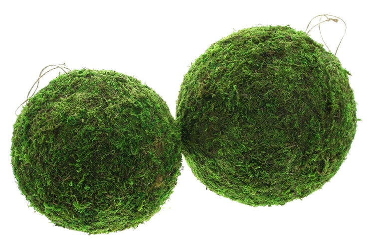 FRANK FLECHTWAREN | Hänger Mooskugel, 2er Set, MOOS, KUNSTSTOFF, Ø 18, Ø 23 cm