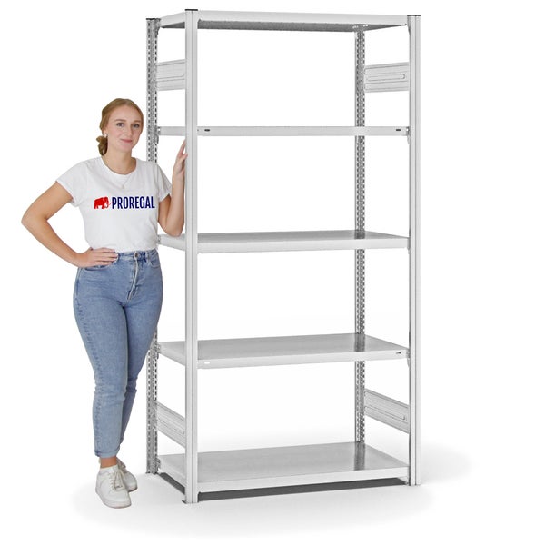 PROREGAL Fachbodenregal Stecksystem T-Profil Medium-Duty Grundregal HxBxT 200 x 100 x 50 cm 5 Ebenen Fachlast 230 kg Beidseitig Nutzbar Lichtgrau
