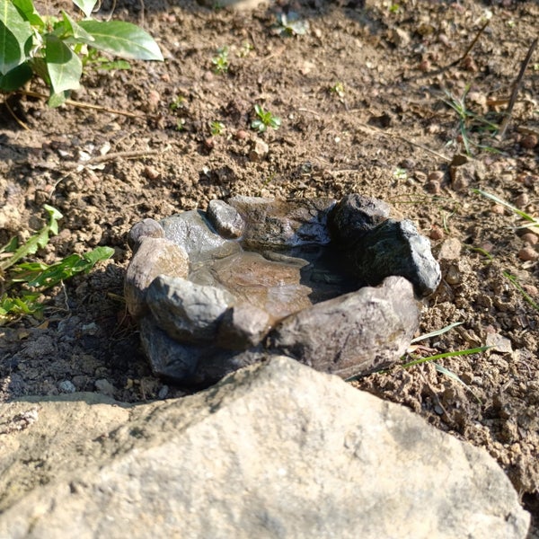 Kleine Vogeltränke in Steinoptik, gefüllt mit Wasser, auf Erdboden im Garten zwischen Pflanzen platziert.