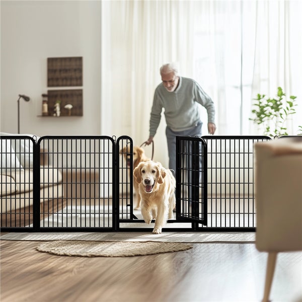 Schwarzes Hunde Schutzgitter im Wohnzimmer mit Mann und Golden Retrievern