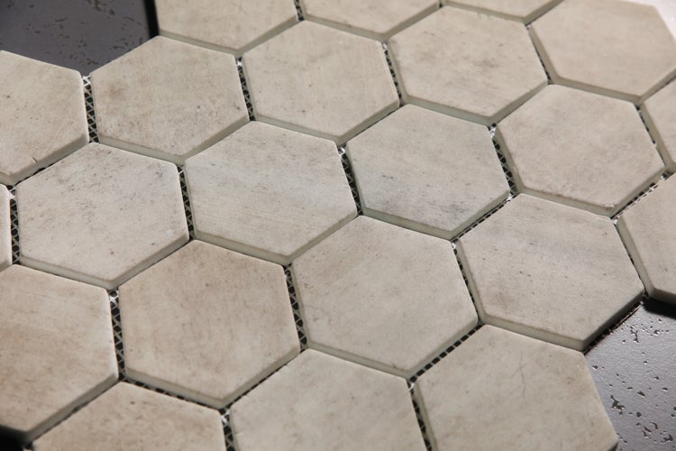 Zypressenzapfen am Baum