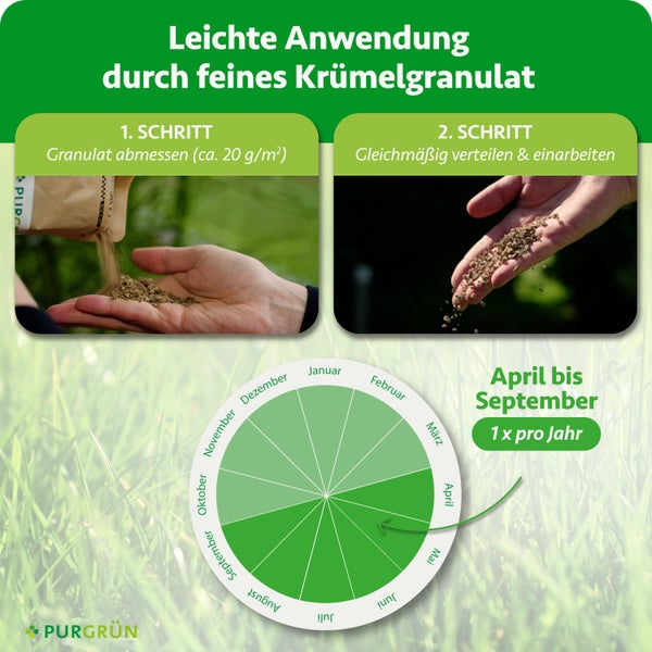 Purgrün Logo und Infografik Anwendung: Schritt 1 circa 20 Gramm pro Quadratmeter abmessen, Schritt 2 verteilen. Zeitraum April bis September jährlich.
