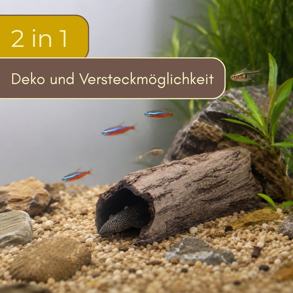 Aquarium-Dekoration in Form eines hohlen Baumstamms als Versteck für Fische, in einem bepflanzten Aquarium mit Kiesboden.