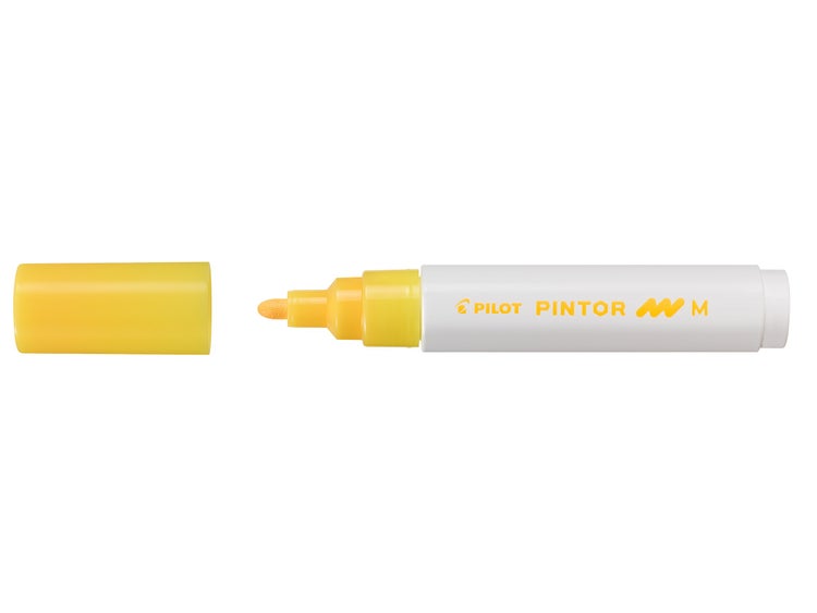 PILOT Kreativmarker PINTOR 4.5 (M) Neonapricot