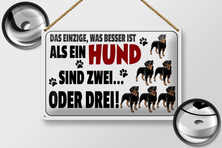 Blechschild Spruch 30x20cm Was besser ist als ein Hund zwei