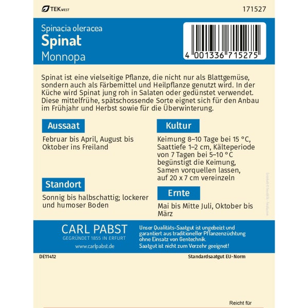 Spinat schossfest & winterhart Monnopa Samen von Pabst Keimkraft
