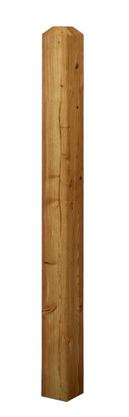 Holzpfosten mit Kopf