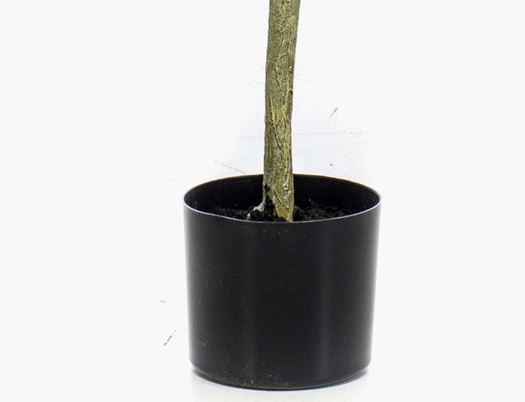 Künstliche Pflanze im schwarzen Kunststofftopf, Detailansicht des Stamms.