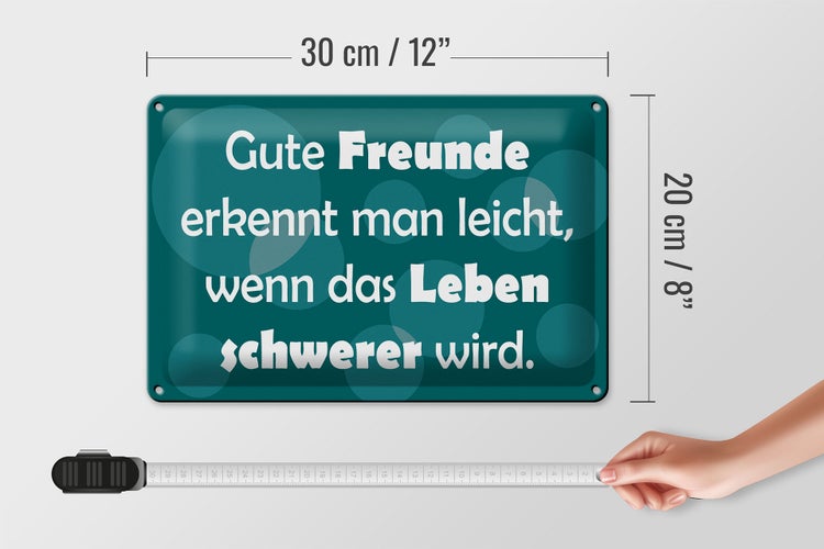 Blechschild Spruch 30x20cm Gute Freunde grünes
