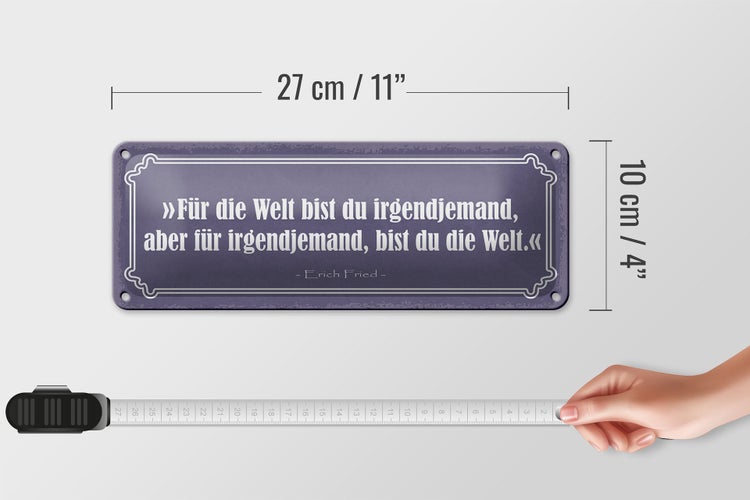Blechschild Spruch 27x10cm für Welt bist du irgendjemand Dekoration
