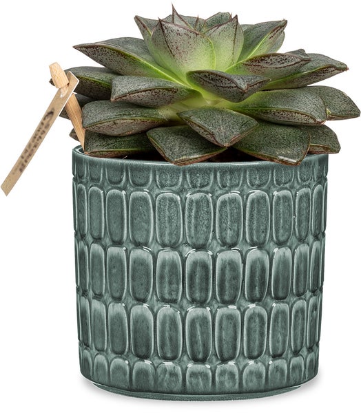 Scheurich Lagom, Blumentopf aus Keramik,  Farbe: Alma, 15,9 cm Durchmesser, 14,6 cm hoch, 3,7 l Vol.