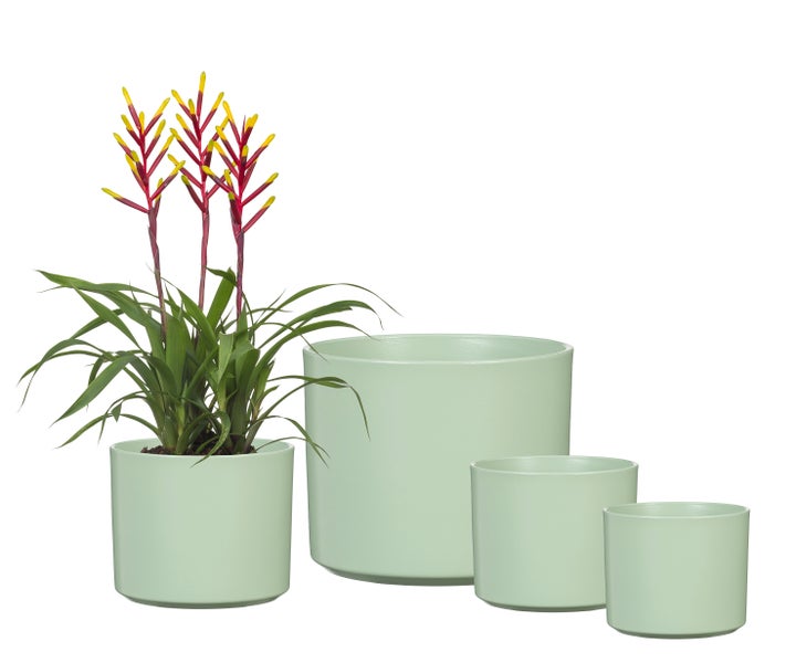 Scheurich Monaco, Blumentopf aus Keramik, Farbe: Linden Green, 27,8 cm Durchmesser, 25,8 cm hoch, 19,9 l. Vol.