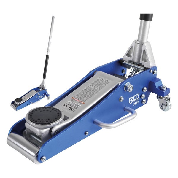 Blütenstand mit weissen Blüten