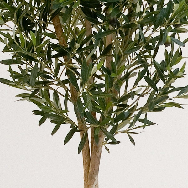 Künstlicher Pflanzenstamm in einem schwarzen Kunststofftopf.