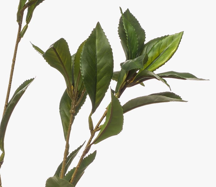 Nahaufnahme eines künstlichen Orchideenzweigs mit weißen Blüten und grünen Knospen.