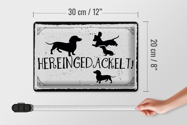 Blechschild Spruch 30x20cm Hereingedackelt