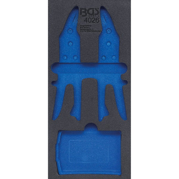 Astilbe-Blütenstand im Nahbereich