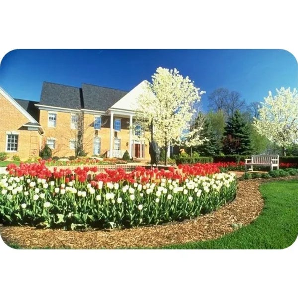 Gepflegter Vorgarten mit einem Tulpenbeet, Rindenmulch, blühenden Bäumen und einem großen Backsteinhaus im Hintergrund.