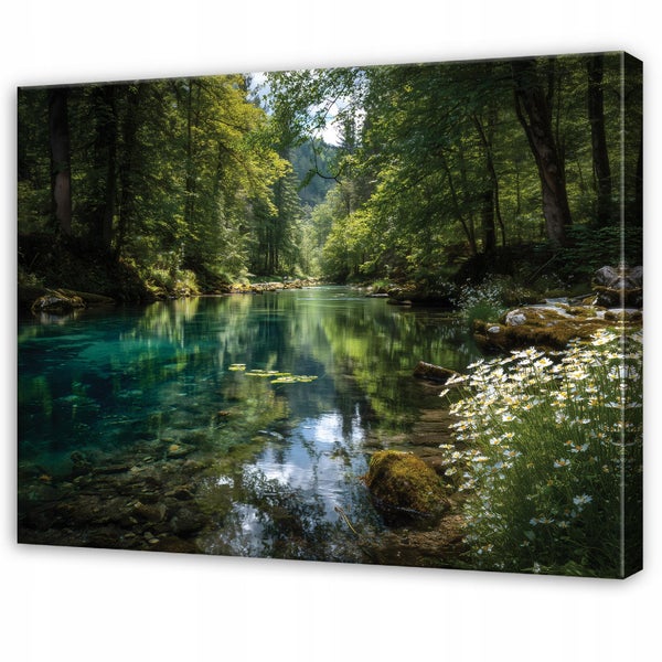 Leinwanddruck eines ruhigen Waldflusses mit klarem Wasser, Steinen und Margeriten am Ufer.