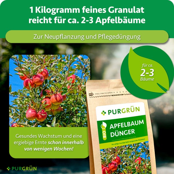 Purgrün Apfelbaum Dünger in einer ein Kilogramm Packung für Neupflanzung und Pflegedüngung von zwei bis drei Apfelbäumen.